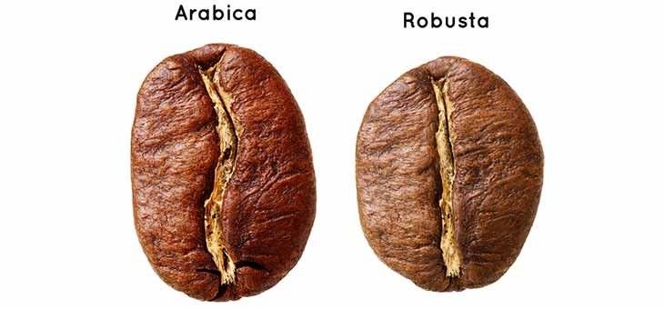 arabica robusta.jpg